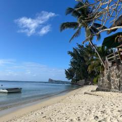 Coastal View Apartments