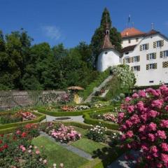 Ferienwohnung Schloss Heidegg