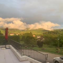 Longue Vue en Arbois