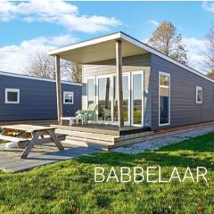 Chalet Babbelaar 6 - premium locatie