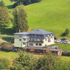 Hotel Grüner Baum mit Restaurant & Wellness