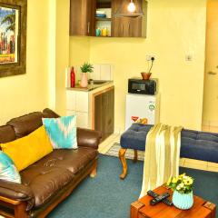 Spacious studio Apt Milimani