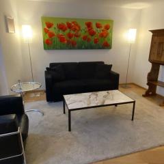 Great 2 BR flat in the city center - Mainau 12