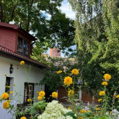 Heart of Vilnius with little spa