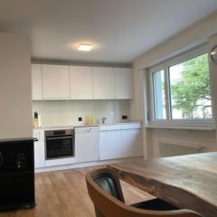 Sunny and very central 2BR flat - Sky8