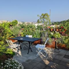 Guestrooms, rooftop with garden, spacious living room, character and fireplace