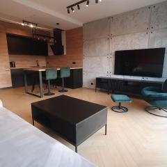 Apartament LOFT