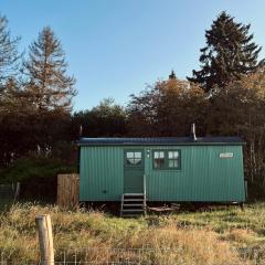 The Green Shepherd, a charming authentic cabin surrounded by beautiful countryside