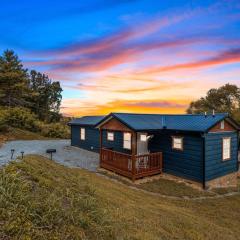 Brand New Small Cabin! A Bearly Adventure