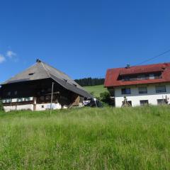 Hinterbauernhof Fewo Pferdeglück