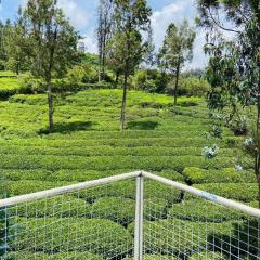 The green wood ooty