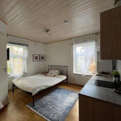 Laura comfy city studio Kappeli 8-2 apartment 29 near Tallinn bus station airport