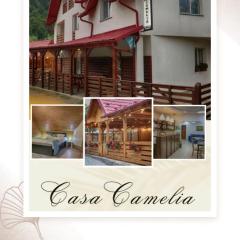 Casa Camelia