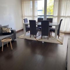 Appartement de 52 m ,lumineux et spacieux