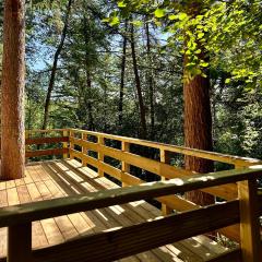 TINY HOUSE - La cabane de Tom