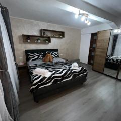 Studio Anca-old town Sibiu