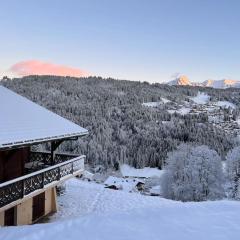 Beautiful located Mt Chéry mountain home