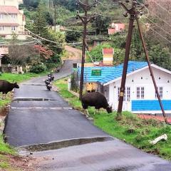 Western Ghats homestay