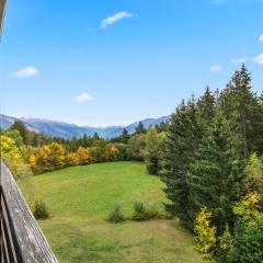 Chaleureux studio avec vue sur les montagnes