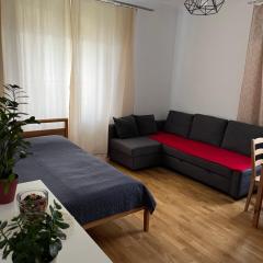 Apartament przy Parku Czartoryskich II