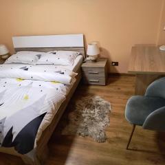 Apartament central Adis