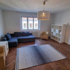 Living (82 m²) in the heart of Graz