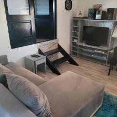 Apartman Djokic 1