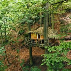 Treehouse Trenčianske Teplice