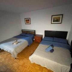 One bedroom apartment with 2 bed - 560