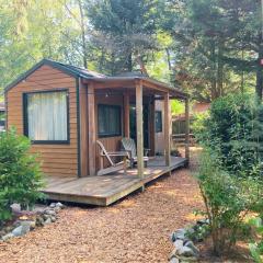 Sfeervol Tiny House in het Bos