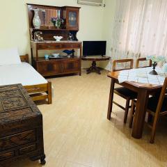 Berat City Centre Flat