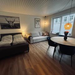 Cozy Flats Silkeborg - S2