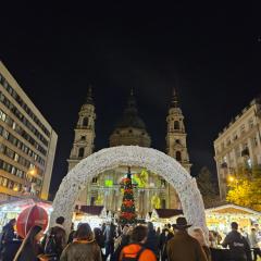 Danube Bridge Apartments