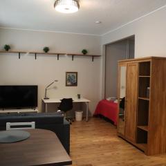 Aleksi Apartment