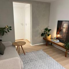 Newly renovated Trondheim apartment