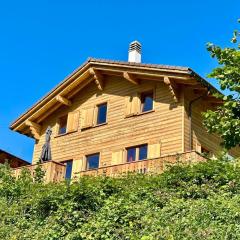 Chalet Villars-Gryon 8pax Cosy