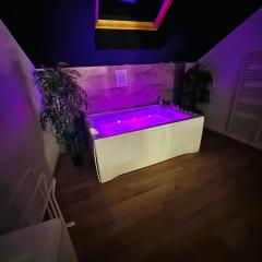 Superbe appartement jacuzzi beaune centre