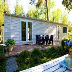 Well-kept chalet in a holiday park, adjacent to the Hoge Veluwe National Park