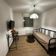 Le Sarsour Appartement Strasbourg Centre