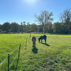 Domaine de l'Atrée - Gite La Petite Longère dans la Nature Préservée