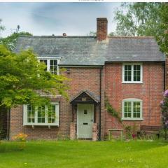 Luxury cottage in the heart of The New Forest