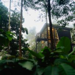 LushEarth Nordic glass house in Wayanad