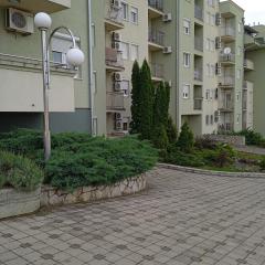 apartman Studenička