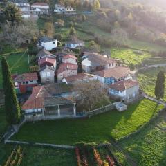 Casa turística Lirio