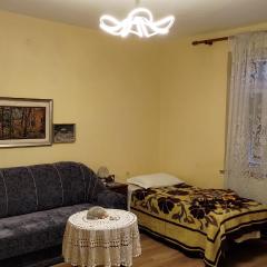 2 Bedroom house in center of Tirana (parking)