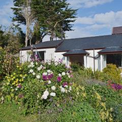 Haulfryn Cottage