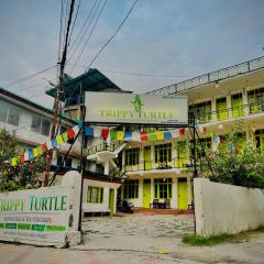 Trippy Turtle Hostel