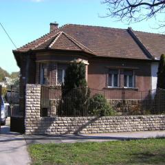 Haus in Budapest mit Garten