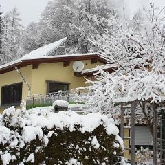 FEWO zum gscheiten Beck Hunde willkommen eingezäunter Garten