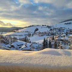 NATURVERLIEBT by Schwarzwaldquartier zu Fuß zu Skilift und Loipe Sauna im Haus Spielzimmer Tiefgarage